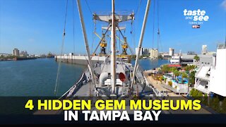 4 Hidden Gem Museums in Tampa Bay | Giant Adventure