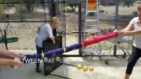 Top Tips - Making Pool Noodles For a Bat Aviary - How To Put a Smile on a Bat Carer's Face!