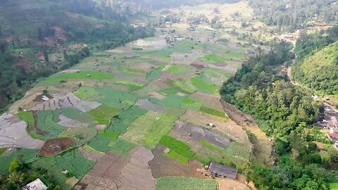 Over the Paddy Fields Drone Footage 1080p 60fps - Footage House