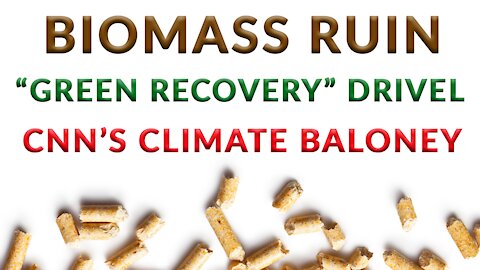 RCP8.5 Fever. Forests axed for wood pellets. Biomass lies.