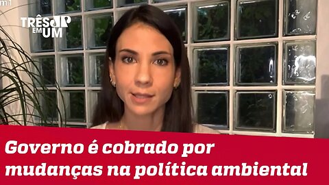 Amanda Klein: Salles sofreu pressões para mostrar plano de ação contra o desmatamento