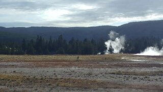 Upper Geyser Basin