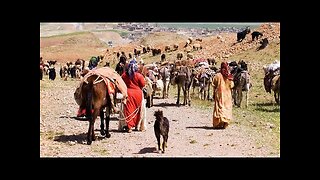Beautiful Migration Journey Of Nomads From Winter Plateaus to Summer Grounds