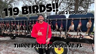119 Birds Shot in 2 Hours!! Hunting at Three Pines Preserve