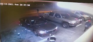 Las Vegas police looking for hit-and-run drivers