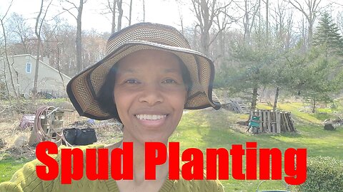 Potato Planting Time: Container vs In-Ground