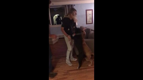 Woman surprises her dogs after 2 months away