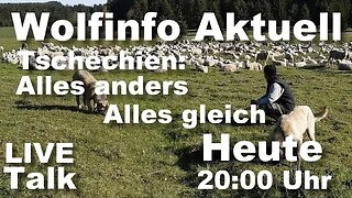 Wolfinfo Aktuell LIVE TALK 30 (Tschechien: Alles anders/Alles gleich. )