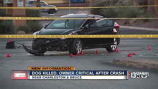 Dog killed, owner in critical condition after crash