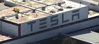 President Trump: 'Let Tesla open the factory, now!'
