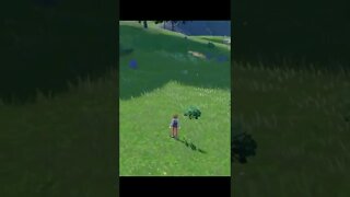 run boy run - Pokémon Scarlet and Violet