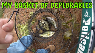 My Basket Of Deplorables