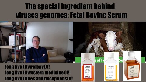 The Third and Final Pillar of Virology: Fetal Bovine Serum To Allow The Genomic Computer RNA Manip