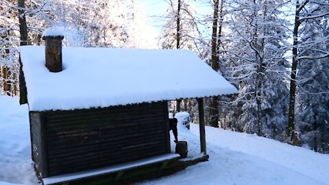 72 Hours in a Wooden Cabin under Harsh Winter Conditions