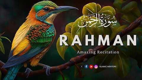 Surah Ar-Rehman (سورة الرحمن) Full || Soothing & Calm Recitation || Islamic Mentors
