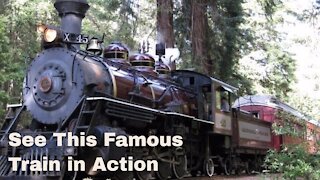 FAMOUS Skunk Train Fort Bragg California