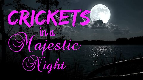 Crickets in a Majestic Night | Crickets at Night | Ambient Sound | What Else Is There?