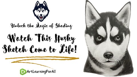 Unlock the Magic of Shading: Watch This Husky Sketch Come to Life! 🎨✨