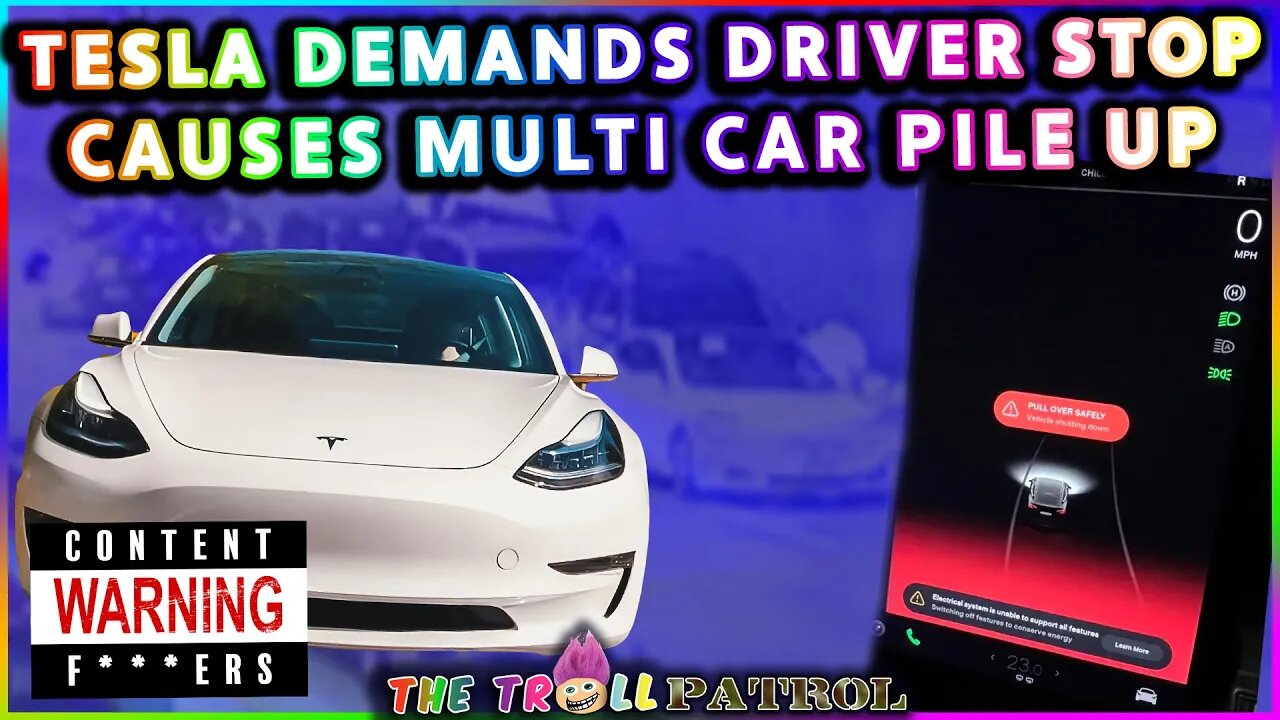 Video Shows Multi Car Pile Up After Tesla Demands That The Driver Pull Over And Shut Down Car