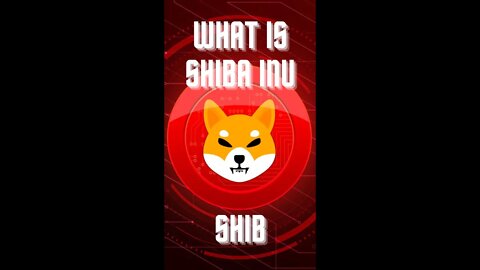 What is #ShibaInu? #shorts #shibainu #crypto