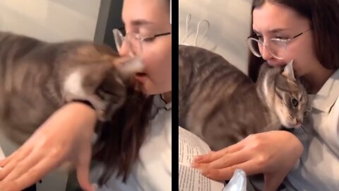 Girl surprising the cat by biting it