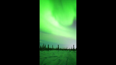 Beautiful Northern Lights- Aurora Borealis