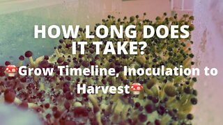 🍄 How Long Does It Take to Grow Edible and Medicinal Mushrooms? 🍄