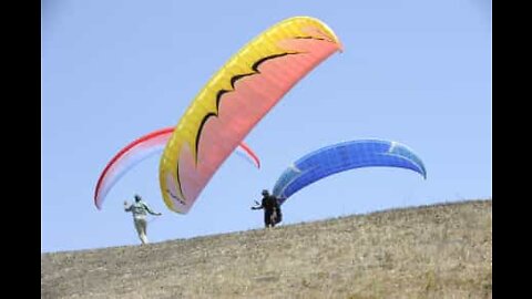 Skydiving landings that did not end well