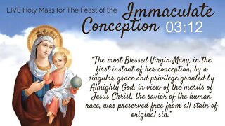 Live Mass for Solemnity of the Immaculate Conception of the Blessed Virgin Mary