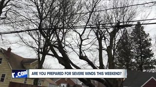 Is your home and yard prepared for the wind storm?