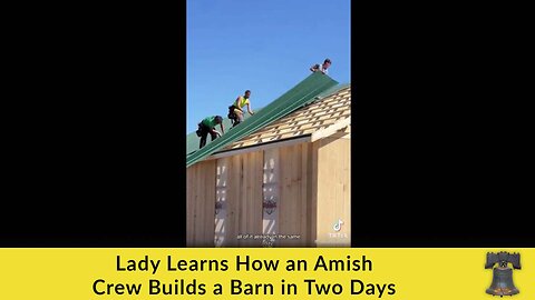 Lady Learns How an Amish Crew Builds a Barn in Two Days