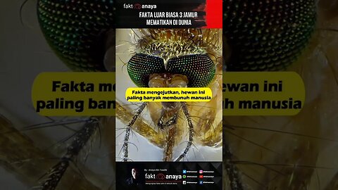 Fakta mengejutkan, hewan ini banyak membunuh manusia #shorth