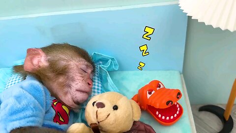 monkey baby bon oes to the toilet and plays with ducklings in the swimming pool #kids #video