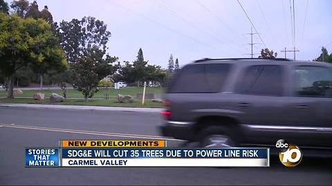 SDG&E will cut 35 trees due to power line risk