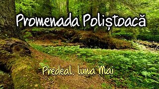 Promenada Poliștoacă în luna Mai, Predeal, România