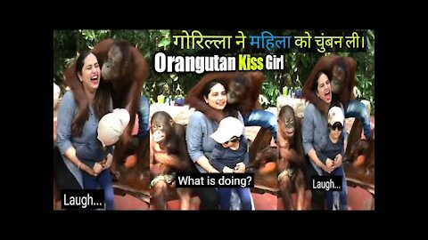 JituAman | Orangutan kiss girl | Gorilla kiss to Indian Girl | gorilla proposing to girl | #Gorilla