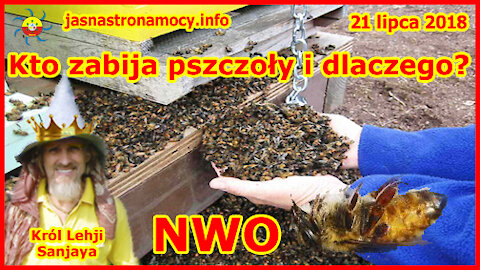 Kto zabija pszczoły i dlaczego! NWO