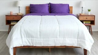 In Good Company: Sheets & Giggles offers sustainable eucalyptus bedding