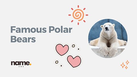 Famous Polar Bear Names: Stories & Origins | NameAwe