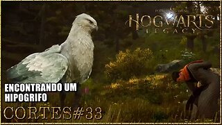 HOGWARTS LEGACY[CORTE#33]FAZENDO AMIZADE COM UM HIPOGRIFO #hogwartslegacybrasil #tomoyosan #gameplay