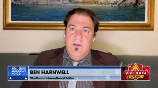 Harnwell: “They’re all grifters — there are no good guys among our sociopathic globalist overlords.”