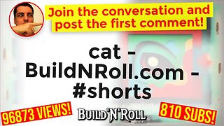 cat - BuildNRoll.com - #shorts