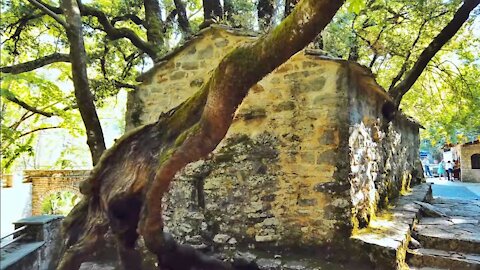 Rare footage of a chapel with 17 trees fully grown on its roof