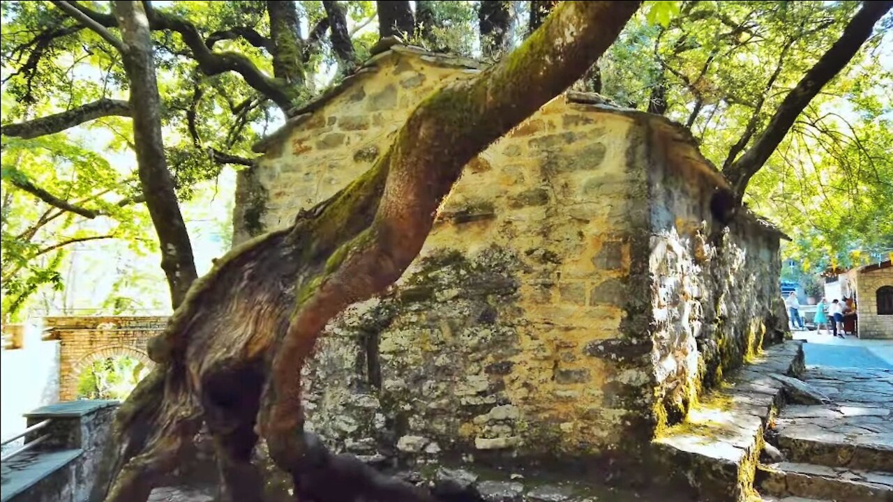 Theodora Tree Rare footage of a chapel with 17 trees fully grown on its roof
