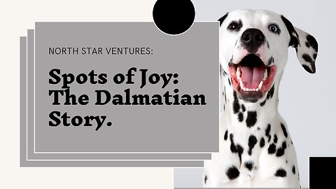 Spots of Joy: The Dalmatian Story