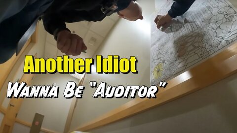 Another Wanna Be Idiot Auditor