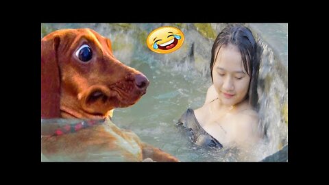 funny cute dogs 🐶 and cats 🐱 part 5