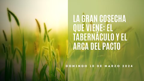 La gran cosecha que viene: El Tabernáculo y el Arca del Pacto - Domingo 10 de Marzo 2024