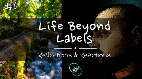 Life Beyond Labels | #6 | Reflections | The World of Momus Podcast