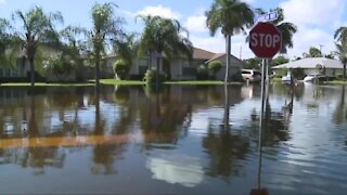 Hundreds of homes impacted by flooding in Lantana